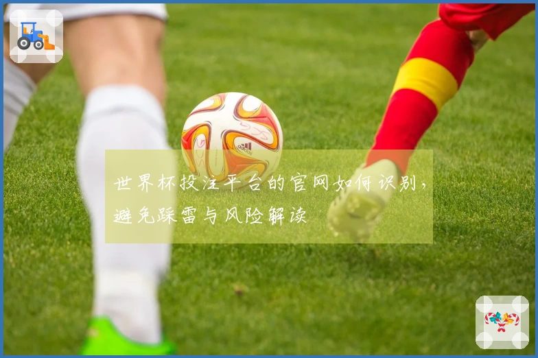 世界杯投注平台的官网如何识别，避免踩雷与风险解读
