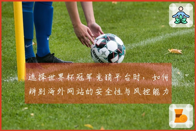 选择世界杯冠军竞猜平台时，如何辨别海外网站的安全性与风控能力？