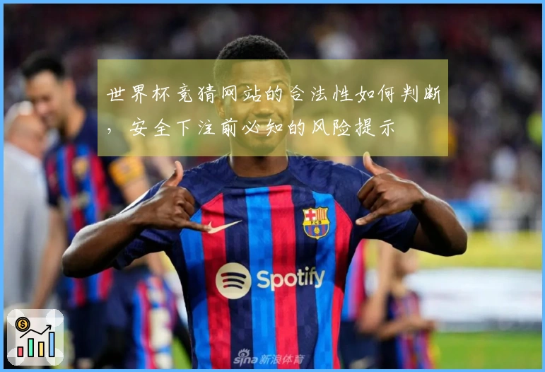 世界杯竞猜网站的合法性如何判断，安全下注前必知的风险提示