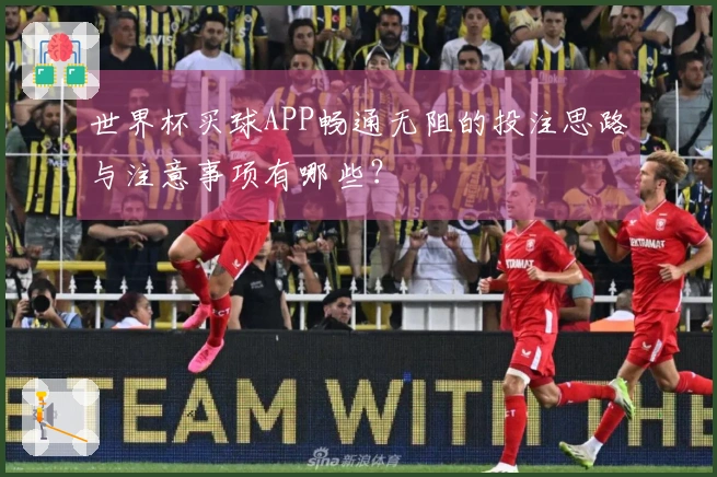 世界杯买球APP畅通无阻的投注思路与注意事项有哪些？