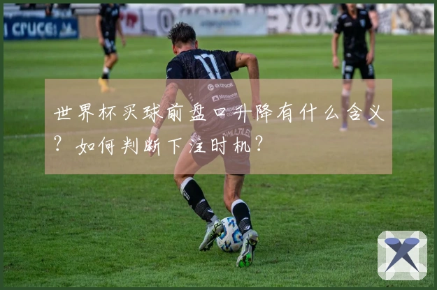 世界杯买球前盘口升降有什么含义？如何判断下注时机？