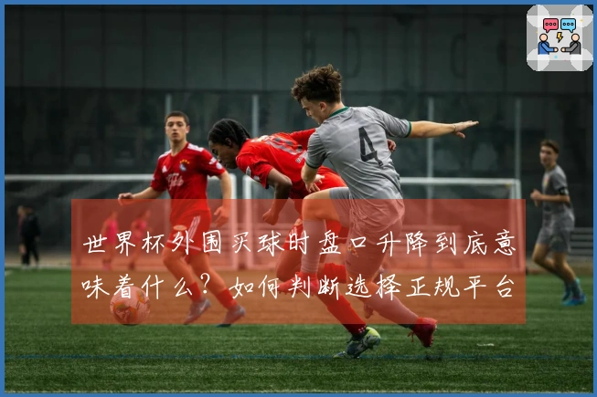 世界杯外围买球时盘口升降到底意味着什么？如何判断选择正规平台？