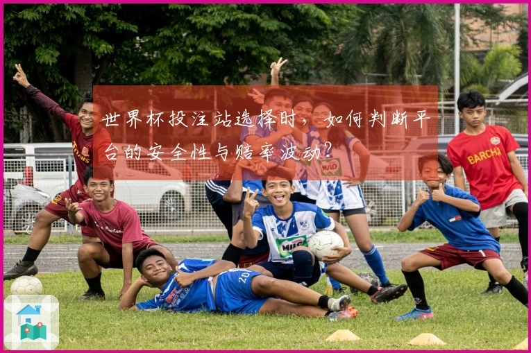 世界杯投注站选择时，如何判断平台的安全性与赔率波动？
