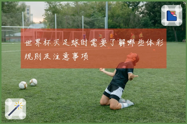 世界杯买足球时需要了解哪些体彩规则及注意事项