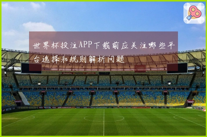 世界杯投注APP下载前应关注哪些平台选择和规则解析问题