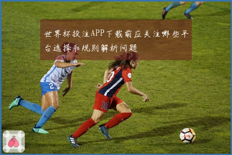 世界杯投注APP下载前应关注哪些平台选择和规则解析问题