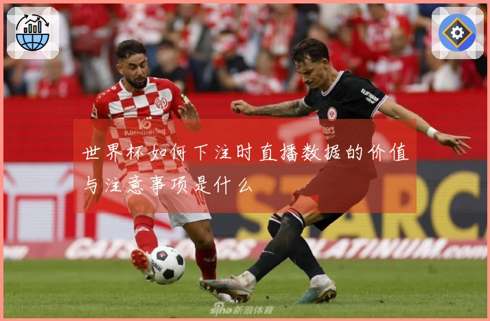 世界杯如何下注时直播数据的价值与注意事项是什么