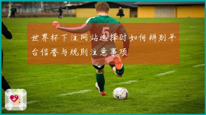 世界杯下注网站选择时如何辨别平台信誉与规则注意事项