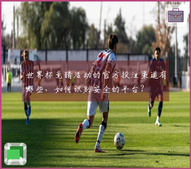 世界杯竞猜活动的官方投注渠道有哪些，如何识别安全的平台？