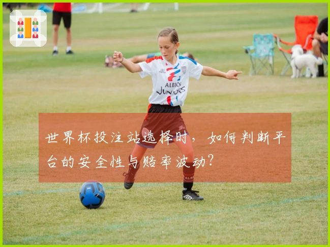 世界杯投注站选择时，如何判断平台的安全性与赔率波动？