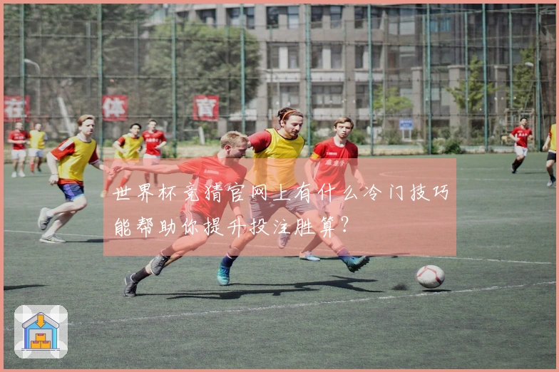 世界杯竞猜官网上有什么冷门技巧能帮助你提升投注胜算？