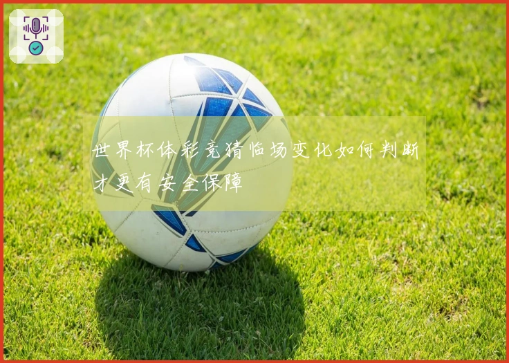 世界杯体彩竞猜临场变化如何判断才更有安全保障