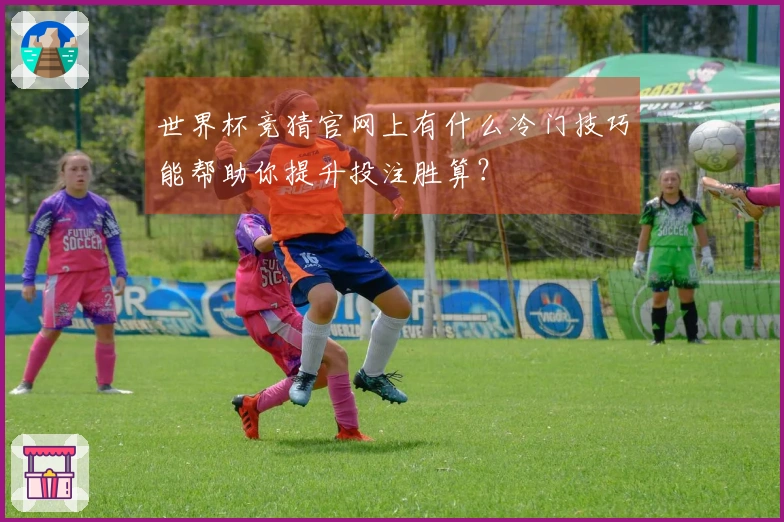 世界杯竞猜官网上有什么冷门技巧能帮助你提升投注胜算？