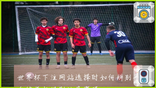 世界杯下注网站选择时如何辨别平台信誉与规则注意事项