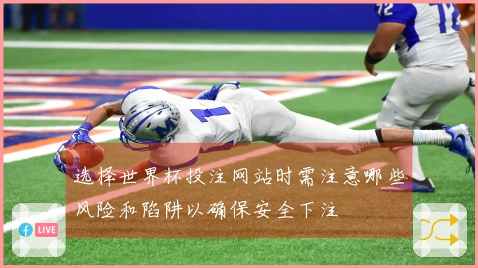 选择世界杯投注网站时需注意哪些风险和陷阱以确保安全下注