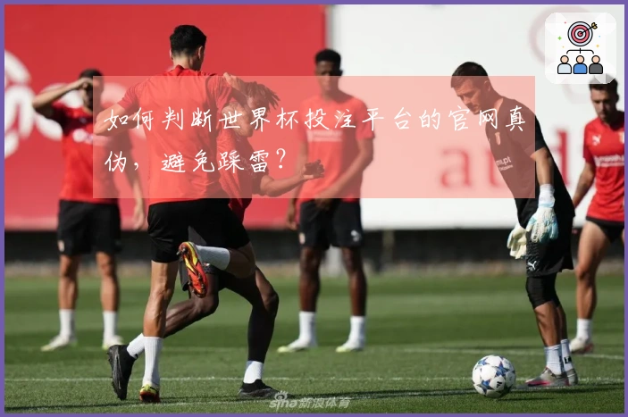 如何判断世界杯投注平台的官网真伪，避免踩雷？