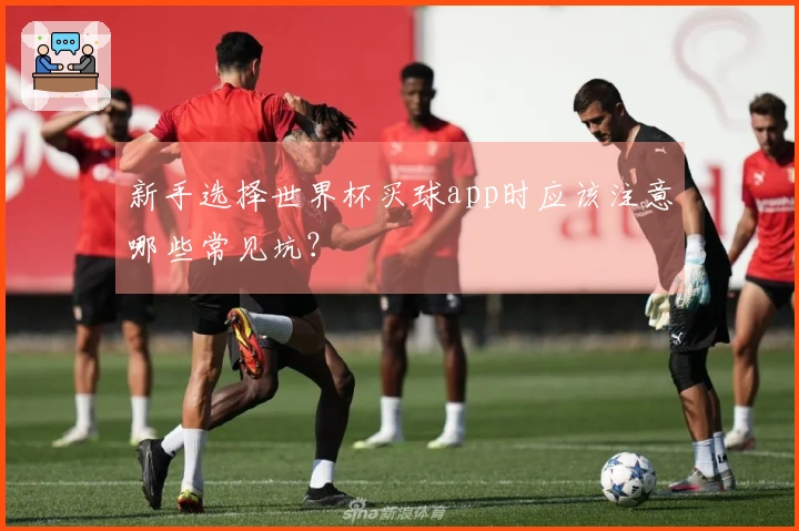 新手选择世界杯买球app时应该注意哪些常见坑？